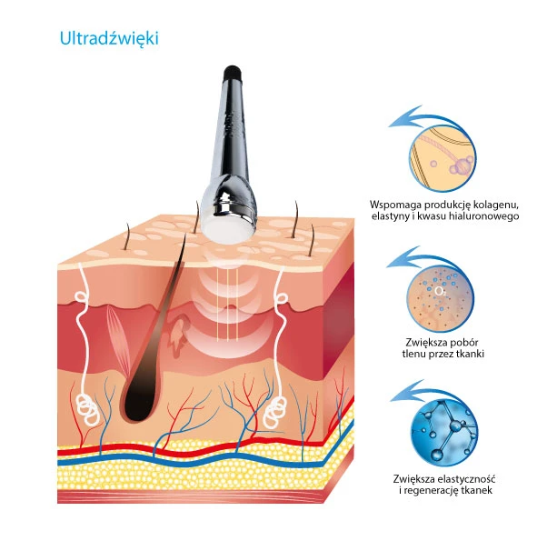 Kup Urządzenie do sonoforezy T-11 w sklepie internetowym Alvi Praga - Cena od producenta - Dostawa w Polsce